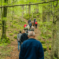 Mitsubishi outlander in člani AMZS - doživetje 2025