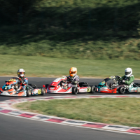 4. dirka državnega prvenstva Slovenije v kartingu v Slovenji vasi