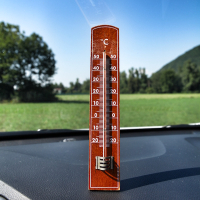 vročina termometer 1.jpg