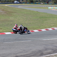 IMG_0170 ap.jpg