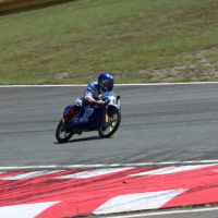 IMG_0195 ap.jpg
