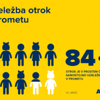 AMZS RAZISKAVA AVG 20164.jpg