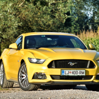 mustang 8.jpg