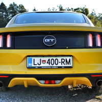 mustang 14.jpg
