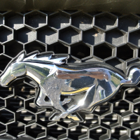 mustang 20.jpg
