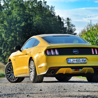 mustang 21.jpg