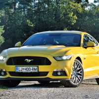 mustang 22.jpg