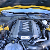 mustang 33.jpg