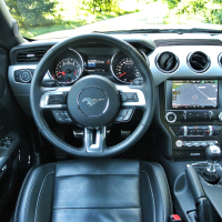 mustang 34.jpg