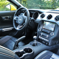 mustang 35.jpg