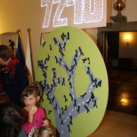 s17.jpg