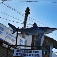 baja 31.jpg