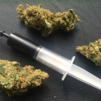 CBD-Dateline-Documentary-MedicalMarijuana.jpg