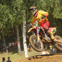 Bogomir Gajser.jpg