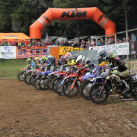 start mx2.jpg