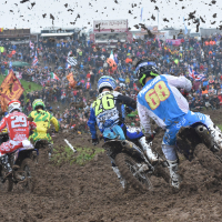 MXON_6771_Pancar.jpg