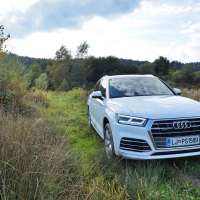 AudiQ5 (5 of 31).jpg