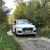 AudiQ5 (15 of 31).jpg