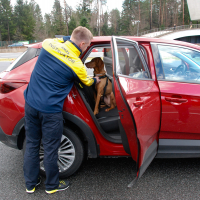 Varen_prevoz_psov_Opel (13 of 14).jpg
