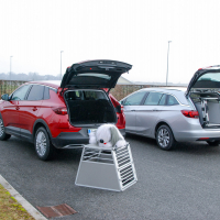 Varen_prevoz_psov_Opel (3 of 14).jpg