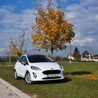 Ford_fiesta (1 of 1).jpg