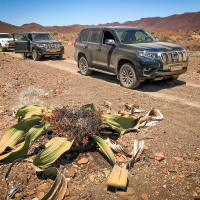 Toyota_landcruiser_1 (16 of 21).jpg