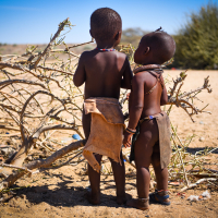 Afrika_Toyota (12 of 12).jpg