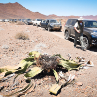 Afrika_Toyota (20 of 34).jpg