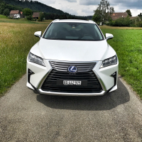 lexus RX450hL (12 of 15).jpg