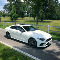 Mercedes-benz CLS (40 of 47).jpg