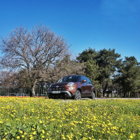fiat 500 L 5.jpg