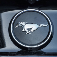 mustang 30.jpg