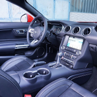 mustang 29.jpg