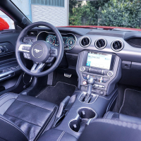 mustang 28.jpg