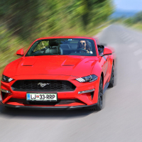 Mustang02.jpg