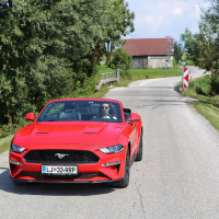 Mustang03.jpg