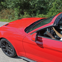 Mustang06.jpg