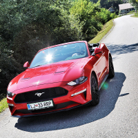 mustang 2.jpg