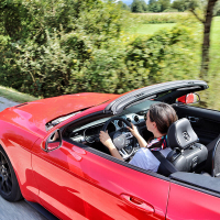 mustang 4.jpg