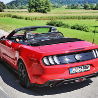 mustang 6.jpg
