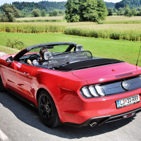 mustang 8.jpg