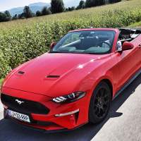 mustang 10.jpg