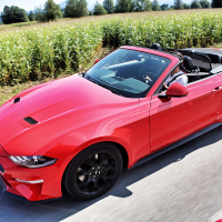 mustang 11.jpg