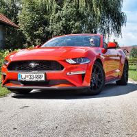 mustang 21.jpg