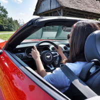 mustang 23.jpg