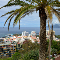 Motorevija_potopis_Tenerife (4 of 21).jpg