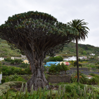 Motorevija_potopis_Tenerife (14 of 21).jpg