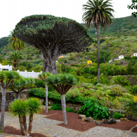 Motorevija_potopis_Tenerife (17 of 21).jpg