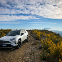 Toyota_RAV4_hybrid_AMZS_za_volanom (27 of 31).jpg
