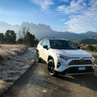 Toyota_RAV4_hybrid_AMZS_za_volanom (24 of 31).jpg